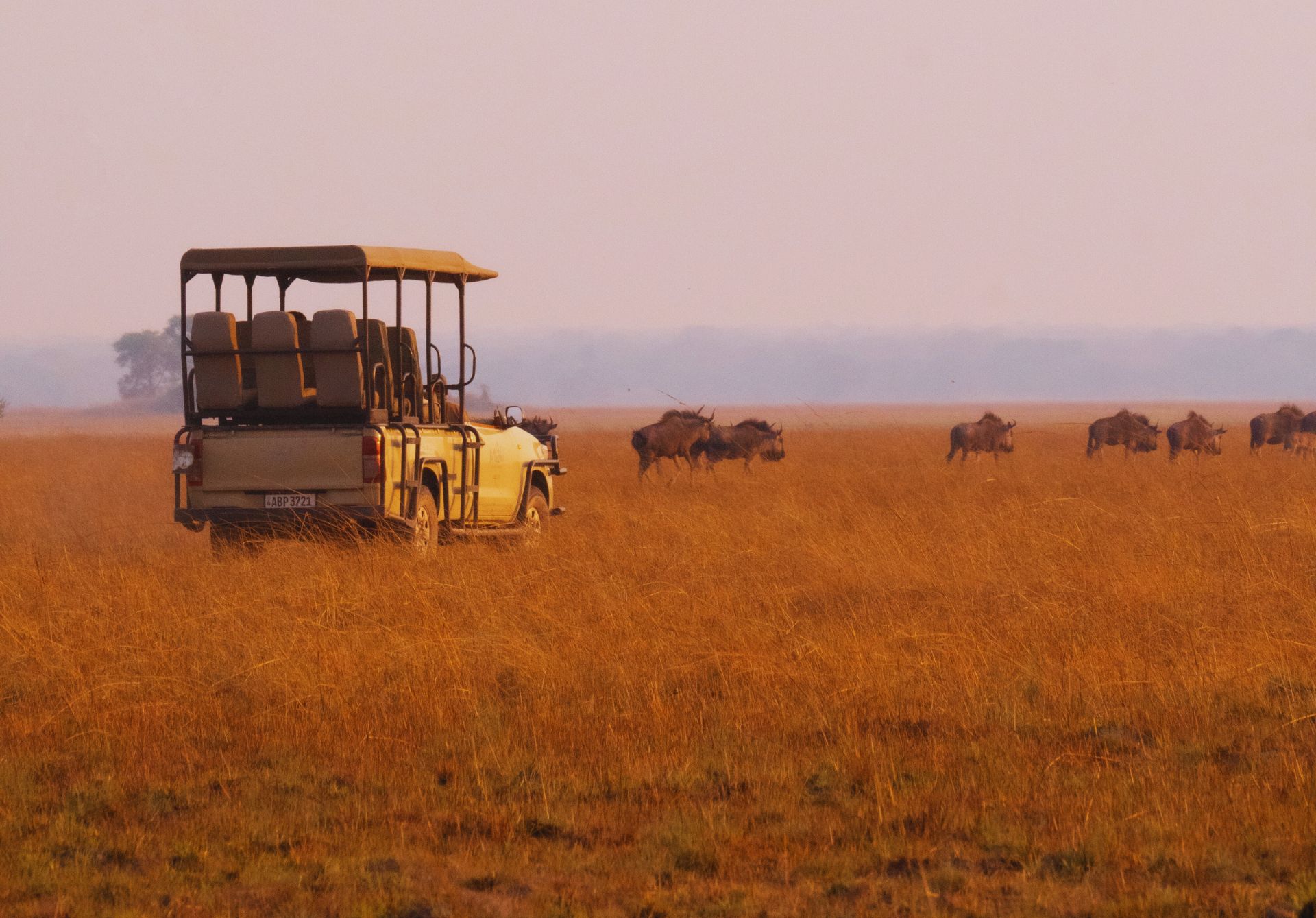 Game Drives